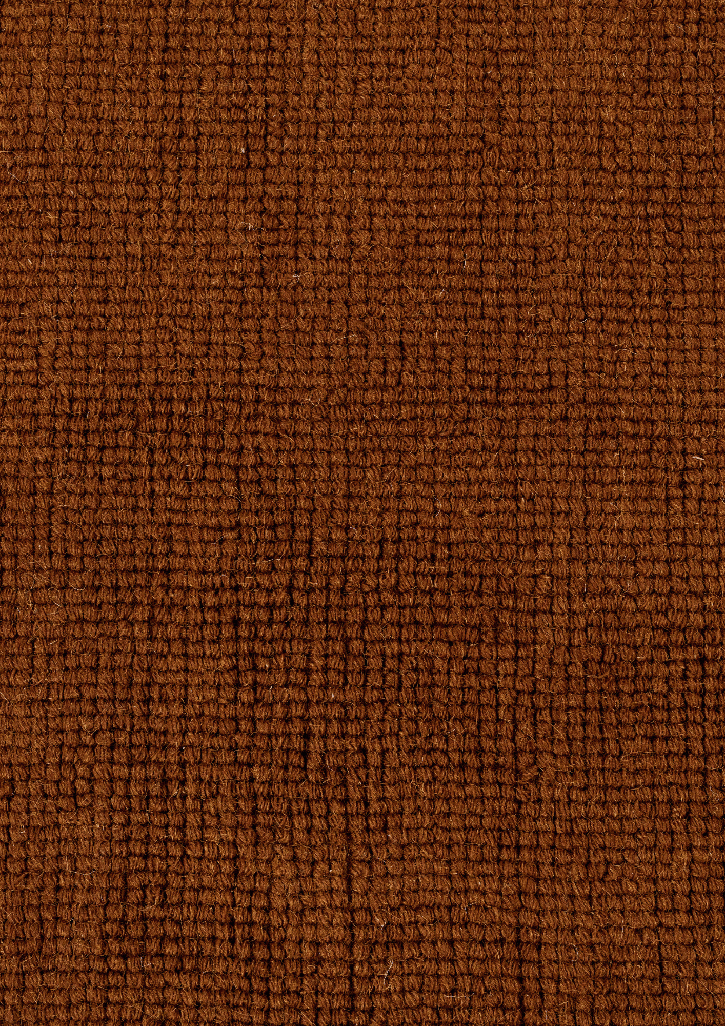 Loop Woolen Handwoven Rug _ Flame