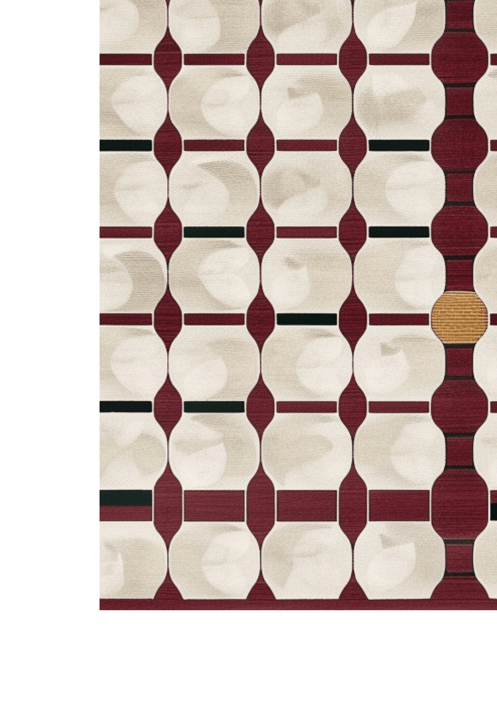 Wool Handtufted Carpet _ Toran