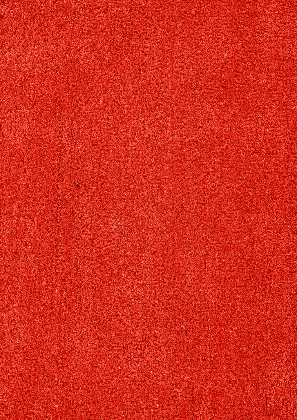 Woolen Handtufted Carpet _ Agni