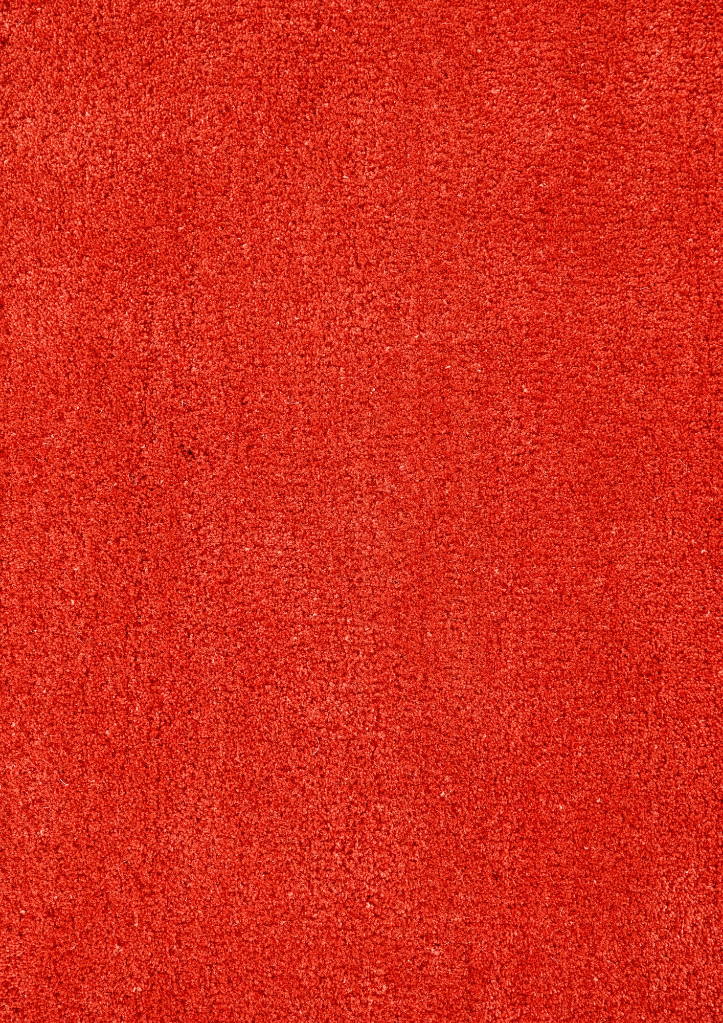 Woolen Handtufted Carpet _ Agni